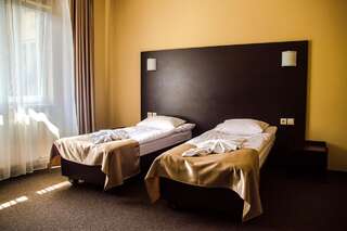 Отель Malyvo Hotel Делятин Улучшенный двухместный номер с 1 кроватью или 2 отдельными кроватями-1