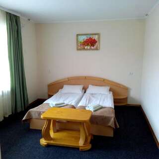 Отель Malyvo Hotel Делятин Стандартный двухместный номер с 1 кроватью или 2 отдельными кроватями-1